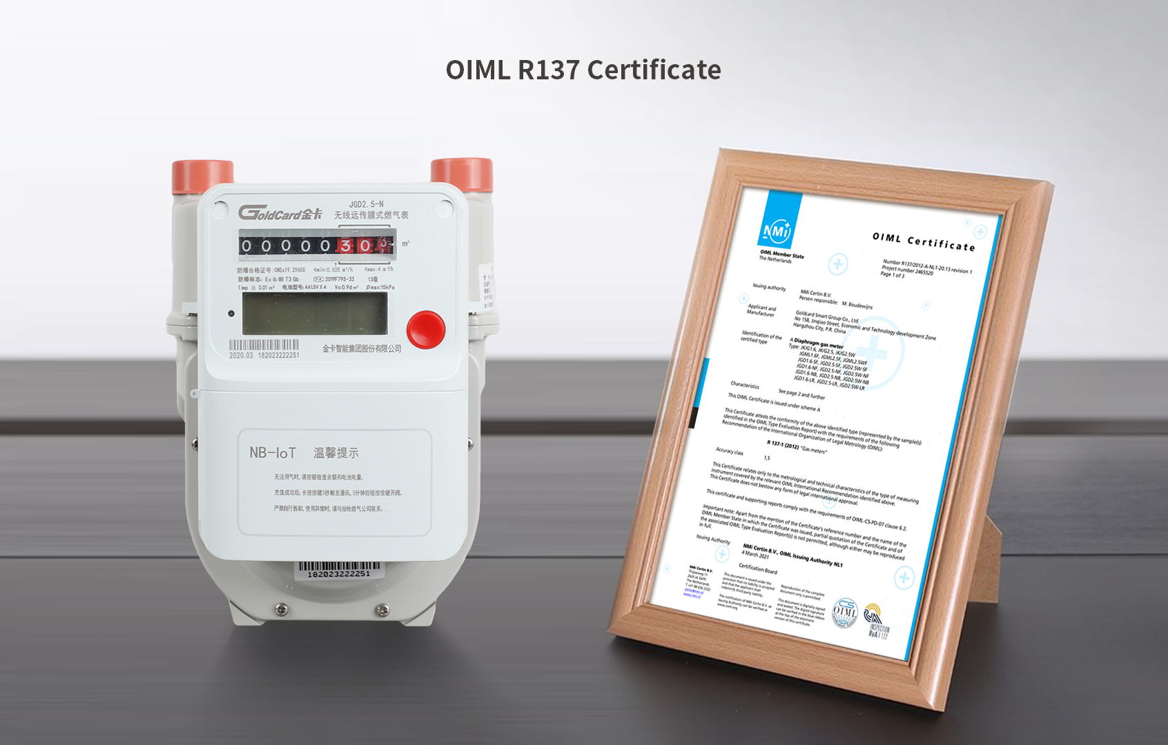 OIML R137 Certificate_看图王_看图王.jpg